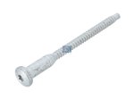 DT Spare Parts - Adjusting screw, Lu: 72 mm, SW: T25, ISO 2768-m - 2.24063 - 10 Pack
