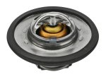 DT Spare Parts - Thermostat kit, 60 °C - 2.91502