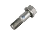 DT Spare Parts - Screw, D: 17 mm, M16, L: 48 mm - 4.40203 - 10 Pack