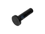 DT Spare Parts - Valve tappet, D1: 18 mm, D2: 33 mm, L: 75 mm - 4.50371 - 2 Pack