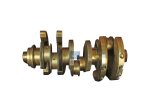 DT Spare Parts - Crankshaft, without bearings - 4.61635