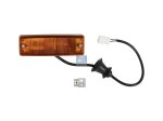 DT Spare Parts - Turn signal lamp, fender, right, 24 V, P21W - 4.62824