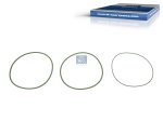 DT Spare Parts - Seal ring kit, green - 4.90189