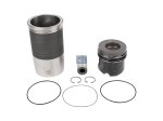 DT Spare Parts - Piston with liner, D: 128 mm - 4.90965