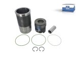 DT Spare Parts - Piston with liner, D: 128 mm - 4.90956