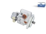 DT Spare Parts - Servo pump, with fuel pump - 5.00111