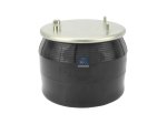 DT Spare Parts - Air spring, with steel piston - 5.10221