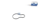 DT Spare Parts - Gasket, oil cooler housing - 4.00585