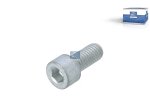 DT Spare Parts - Screw - 6.00217 - 100 Pack