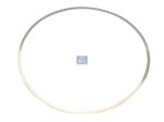 DT Spare Parts - Shim, d: 152 mm, D: 159 mm, S: 0.3 mm - 2.10146 - 6 Pack