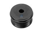 DT Spare Parts - Pulley, d1: 17 mm, d2: 55 mm, DP: 73 mm, W: 44.2 mm, 8 grooves - 2.21053