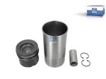 DT Spare Parts - Piston with liner, D: 108 mm - 3.90029