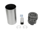 DT Spare Parts - Piston with liner, D: 108 mm - 3.90131