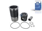DT Spare Parts - Piston with liner, D: 120 mm - 3.90133