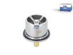 DT Spare Parts - Thermostat, with o-ring, 87 °C - 5.41024