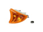 DT Spare Parts - Turn signal lamp, left, without bulb - 7.25102