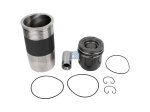DT Spare Parts - Piston with liner, D: 128 mm - 3.90134