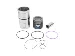 DT Spare Parts - Piston with liner, D: 131 mm - 2.90116