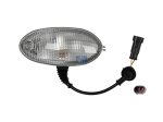 DT Spare Parts - Position lamp, sun visor, right, with bulb - 7.25299