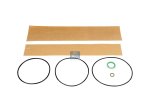 DT Spare Parts - Gasket kit, oil cleaner - 1.31063