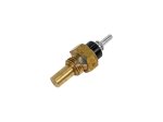 DT Spare Parts - Temperature sensor, M14 x 1,5, SW: 19 - 4.66945