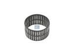 DT Spare Parts - Needle bearing, d: 79 mm, D: 83 mm, H: 50 mm - 4.69308