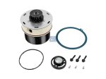 DT Spare Parts - Repair kit, oil separator - 1.31999