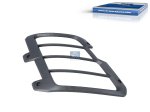 DT Spare Parts - Lamp protector, headlamp, right - 2.24824
