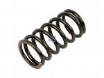 DT Spare Parts - Valve spring, exhaust, outer, D: 40.3 mm, L: 77 mm - 1.10317 - 2 Pack