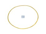 DT Spare Parts - Shim, d: 148.1 mm, D: 153.7 mm, S: 0.1 mm - 1.10600 - 10 Pack