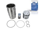 DT Spare Parts - Piston with liner, D: 127 mm - 1.33110