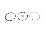 DT Spare Parts - Seal ring kit, cylinder liner - 4.91140