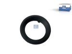 DT Spare Parts - Cover, fog lamp, left - 2.24810
