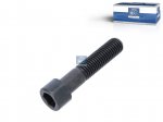 DT Spare Parts - Screw, M14, L: 65 mm, 10.9 - 1.15219 - 10 Pack