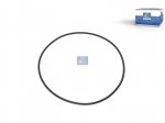 DT Spare Parts - O-ring, d: 256 mm, S: 5.6 mm - 1.16229 - 5 Pack