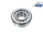 DT Spare Parts - Cylinder roller bearing, d: 38 mm, D: 94 mm, H: 31.5 mm - 1.16069