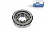 DT Spare Parts - Cylinder roller bearing, d: 45 mm, D: 100 mm, H: 36 mm - 1.16457