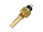 DT Spare Parts - Temperature sensor, M14 x 1,5, Tmax: 120 °C, 2 poles - 1.21604