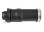 DT Spare Parts - Air bellow, cabin shock absorber - 1.22722