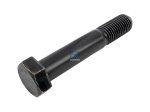 DT Spare Parts - Screw, M20 x 2,5, SW: 30, L: 112 mm - 1.25703 - 10 Pack
