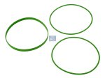DT Spare Parts - O-ring kit, d: 135.5 mm, d1: 140.5 mm - 1.31066