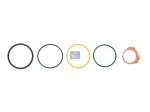 DT Spare Parts - Gasket kit, unit injector - 1.31294