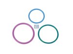 DT Spare Parts - O-ring kit, d: 34 mm, d1: 32 mm, d2: 25 mm - 1.31206 - 2 Pack