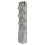 Sealey Worksafe® 18mm HSS Mag Drill Bit Cut Depth 50mm