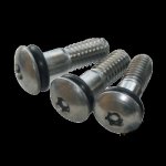 PAR610 Wheel Trim Security Screws (10PKT)