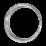 PAR-670 17.5" Stainless Steel Rear Trim Ring (Rim Only) (Pair)