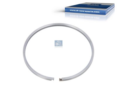 DT Spare Parts - Ring, d: 98 mm, D: 105 mm, S: 4.5 mm - 2.32885
