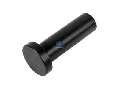 DT Spare Parts - Valve tappet, D1: 20 mm, D2: 32 mm, L: 69.5 mm - 3.13222 - 2 Pack