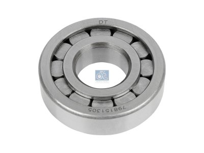 DT Spare Parts - Roller bearing, d: 30 mm, D: 72 mm, H: 19 mm - 4.61434
