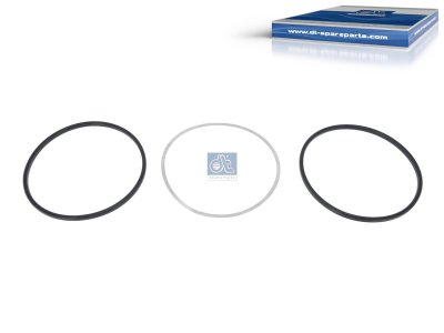 DT Spare Parts - Seal ring kit, cylinder liner - 4.91147